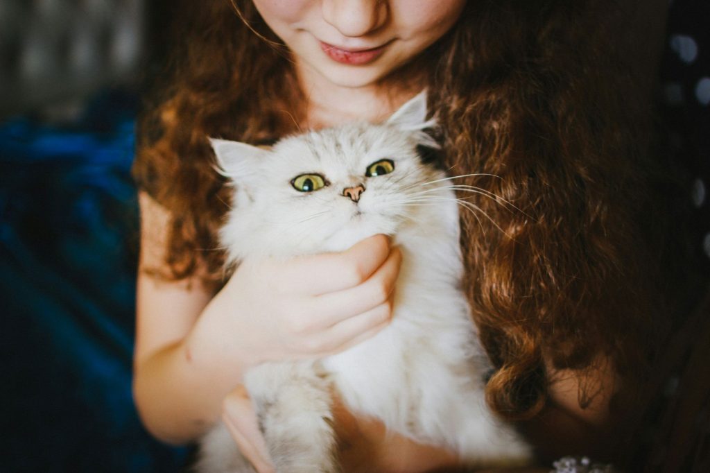 Choose a cat to test why you are single!
