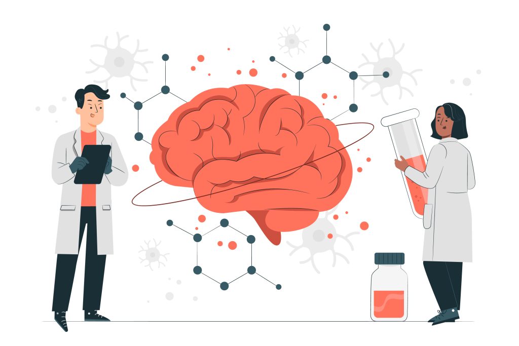 Which of your left and right brains is more developed?